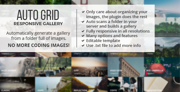 We install, brand and customize Auto Grid Responsive Gallery in 48 hours.